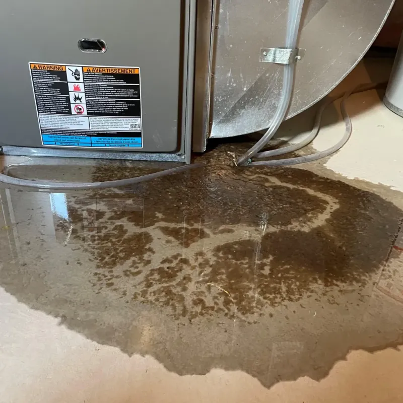 Appliance Leak Cleanup in Hays, KS